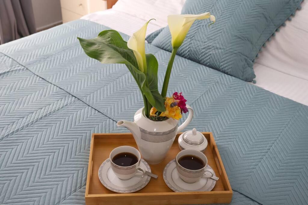 “Katerina'S Guest House” Kato Garouna Екстер'єр фото